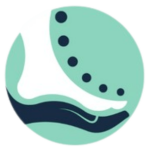 cropped-3-removebg-preview-1-1.png